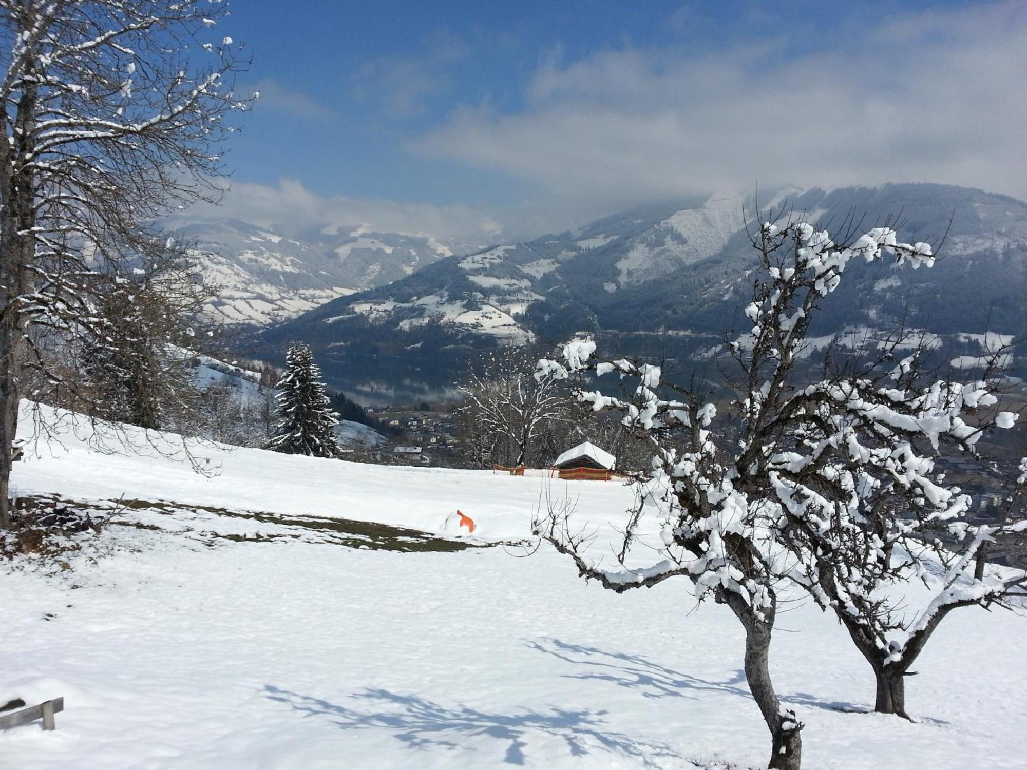 Ferienwohnung Mitterleithengut Zell am See Dış mekan fotoğraf