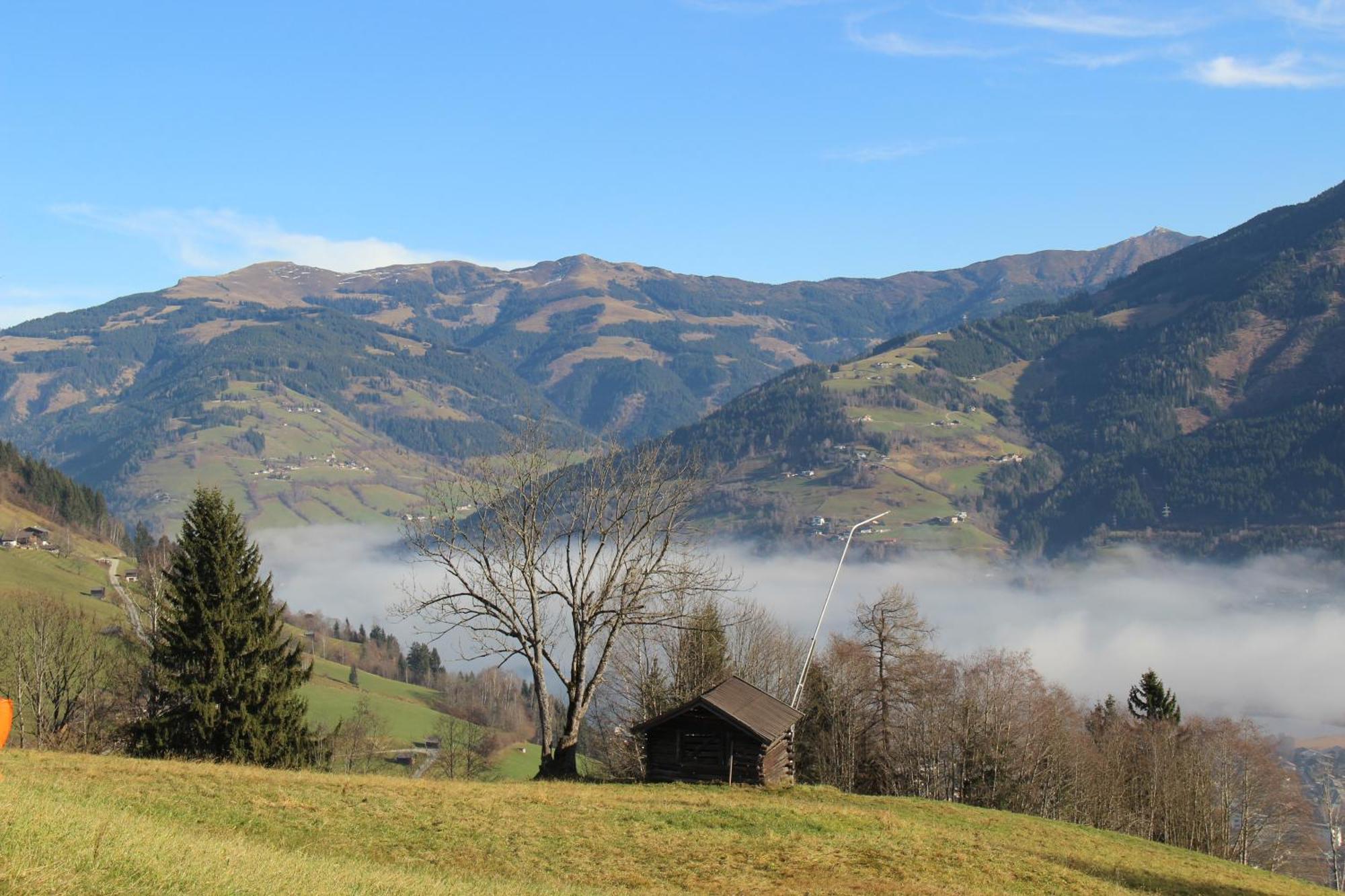 Ferienwohnung Mitterleithengut Zell am See Dış mekan fotoğraf