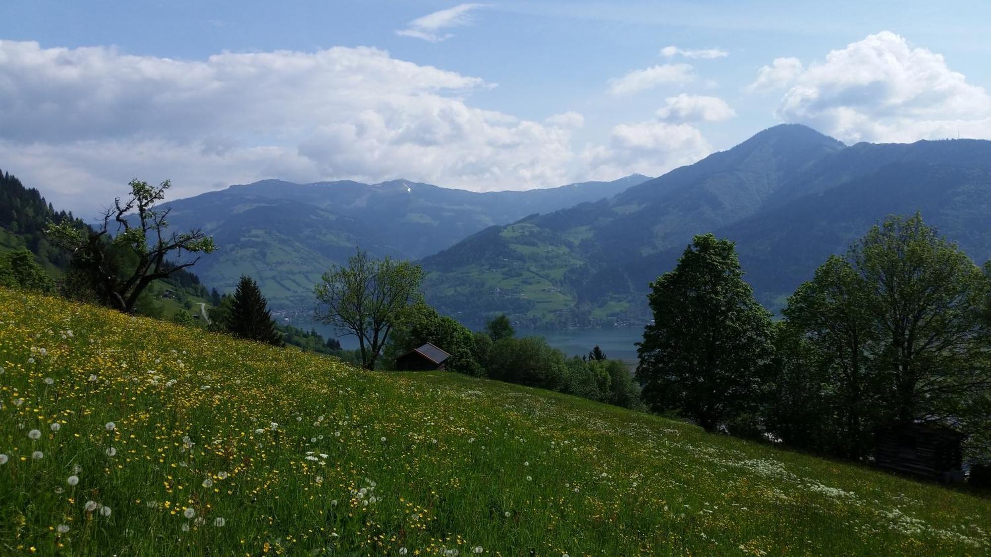 Ferienwohnung Mitterleithengut Zell am See Dış mekan fotoğraf