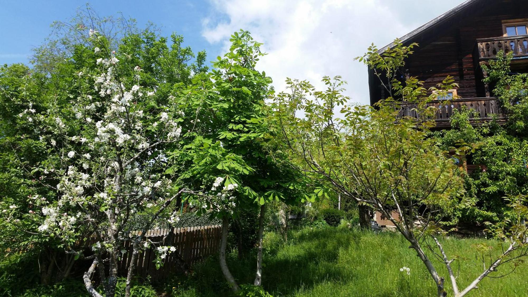 Ferienwohnung Mitterleithengut Zell am See Dış mekan fotoğraf